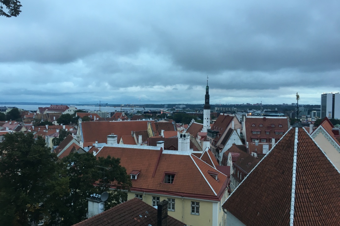 Natalia Zevakhina and Elena Pasalskaya participated in the conference in Tallinn Illustration for news: Natalia Zevakhina and Elena Pasalskaya participated in the conference in Tallinn